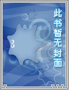 夏利恩特的棱镜